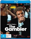 【輸入盤ブルーレイ】【新品】GAMBLER【B2024/3/1発売】