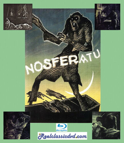 ��͢���ץ֥롼�쥤�ۡڿ��ʡ�NOSFERATU AND TERROR OF DRACULA��B2024/07/25ȯ���