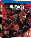 【輸入盤ブルーレイ】【新品】BLEACH - THOUSAND-YEAR BLOOD WAR (2PC)【B2024/3/26発売】(ブリーチ 千年血戦篇)