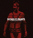 【輸入盤ブルーレイ】【新品】DOGS DON'T WEAR PANTS【B2024/2/27発売】(ブレスレス)