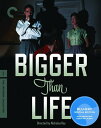 【輸入盤ブルーレイ】【新品】CRITERION COLLECTION / BIGGER THAN LIFE