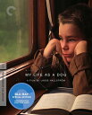 【輸入盤ブルーレイ】【新品】CRITERION COLLECTION / MY LIFE AS A DOG