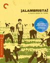 【輸入盤ブルーレイ】【新品】CRITERION COLLECTION / ALAMBRISTA