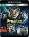 【輸入盤UHD】【新品】DYNASTIES