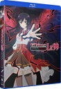 【輸入盤ブルーレイ】【新品】VILLAINESS LEVEL 99: I MAY BE HIDDEN BOSS - COMPLETE SEASON【B2025/...