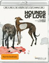 【輸入盤ブルーレイ】【新品】HOUNDS OF LOVE (Limited Edition)【B2025/01/24発売】