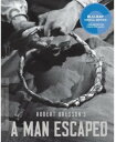 【輸入盤ブルーレイ】【新品】CRITERION COLLECTION / MAN ESCAPED