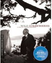 【輸入盤ブルーレイ】【新品】CRITERION COLLECTION / WILD STRAWBERRIES