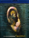 【輸入盤ブルーレイ】【新品】Tchaikovsky/Trondheimsolistene / Souvenir
