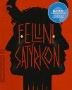 【輸入盤ブルーレイ】【新品】CRITERION COLLECTION / FELLINI SATYRICON