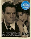【輸入盤ブルーレイ】【新品】CRITERION COLLECTION / SPECIAL DAY