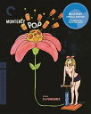 【輸入盤ブルーレイ】【新品】CRITERION COLLECTION / MONTEREY POP