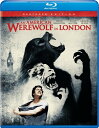 【輸入盤ブルーレイ】【新品】AN AMERICAN WEREWOLF IN LONDON