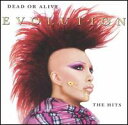 【Aポイント付】デッド・オア・アライブ　Dead Or Alive / Evolution: The Hits (CD)