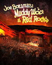 【輸入盤DVD】【新品】JOE BONAMASSA / MUDDY WOLF AT RED ROCKS(ジョー・ボナマッサ)