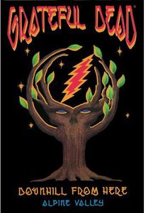 【輸入盤DVD】【新品】GRATEFUL DEAD / DOWNHILL FROM HERE(グレイトフル・デッド)