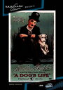 【輸入盤DVD】【新品】Dog's Life / A Dog's Life