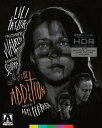 【輸入盤DVD】【新品】ADDICTION (Limited Edition)【D2024/12/10発売】
