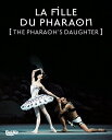 【輸入盤DVD】【新品】Pugni/Bolshoi Ballet/Zakharova / Pharaoh's Daughter