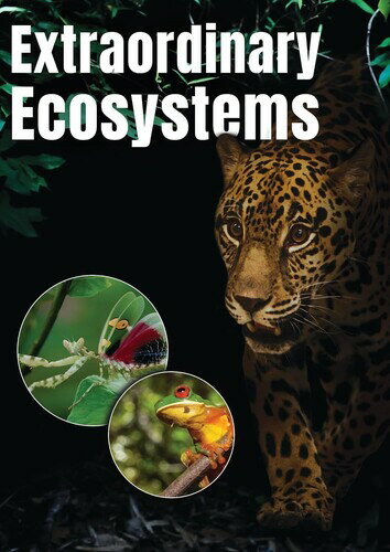 【輸入盤DVD】【新品】EXTRAORDINARY ECOSYSTEMS【D2025/01/21発売】