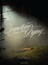 【輸入盤DVD】【新品】SOMETIMES I THINK ABOUT DYING【D2025/1/14発売】