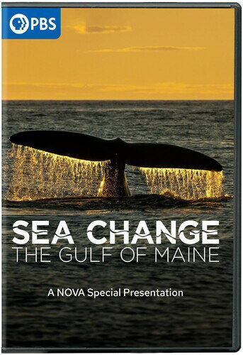 【輸入盤DVD】【新品】SEA CHANGE: GULF MAINE NOVA SPECIAL PRESENTATION【D2024/11/12発売】