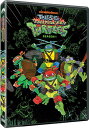 【輸入盤DVD】【新品】TALES OF THE TEENAGE MUTANT NINJA TURTLES: SSN ONE【D2024/11/12発売】