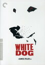 【輸入盤DVD】【新品】【1】Criterion Collection / White Dog (Criterion Collection)