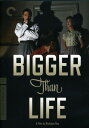 【輸入盤DVD】【新品】【1】CRITERION COLLECTION / BIGGER THAN LIFE