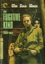 【輸入盤DVD】【新品】【1】CRITERION COLLECTION / FUGITIVE KIND