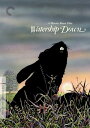 【輸入盤DVD】【新品】【1】CRITERION COLLECTION / WATERSHIP DOWN