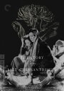 【輸入盤DVD】【新品】【1】CRITERION COLLECTION / STORY OF LAST CHYSANTHEMUM