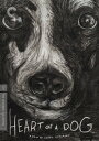 【輸入盤DVD】【新品】【1】CRITERION COLLECTION / HEART OF A DOG
