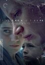 【輸入盤DVD】【新品】【1】CRITERION COLLECTION / TREE OF LIFE
