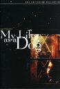 【輸入盤DVD】【新品】【1】CRITERION COLLECTION / MY LIFE AS A DOG