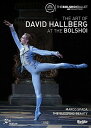 【輸入盤DVD】【新品】Art of David Hallberg at the Bolshoi