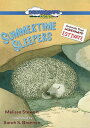 【輸入盤DVD】【新品】SUMMERTIME SLEEPERS【D2023/9/26発売】