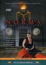 【輸入盤DVD】【新品】【0】Bellini/Theodossiou/Ventre/Barcellona / Norma