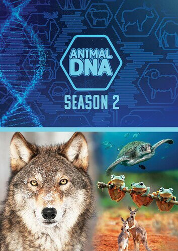 【輸入盤DVD】【新品】ANIMAL DNA: SEASON TWO【D2024/2/6発売】