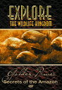 【輸入盤DVD】【新品】EXPLORE THE WILDLIFE KINGDOM / SECRETS OF THE GOLDEN RIVER