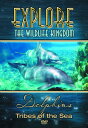 【輸入盤DVD】【新品】EXPLORE THE WILDLIFE KINGDOM / DOLPHINS TRIBES OF THE SEA