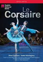【輸入盤DVD】【新品】ADAM / MUNTAGIROV / ORCHESTRA OF THE ENGLISH / LE CORSAIRE