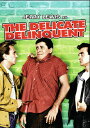 【輸入盤DVD】【新品】Delicate Delinquent / The Delicate Delinquent