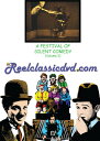 【輸入盤DVD】【新品】FESTIVAL OF SILENT COMEDY (VOLUME 2)