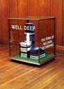 【輸入盤DVD】【新品】VA / Well Deep-10 Tears of Big Dada