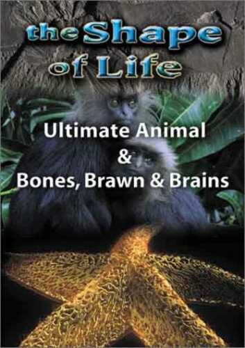 【輸入盤DVD】【新品】Shape of Life 4: Ultimate Animal & Bones