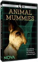 【輸入盤DVD】【新品】Nova: Animal Mummies