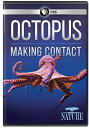 【輸入盤DVD】【新品】Nature: Octopus - Making Contact / NATURE: Octopus: Making Contact