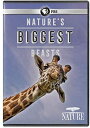 【輸入盤DVD】【新品】Nature: Nature's Biggest Beasts / NATURE: Nature's Biggest Beasts