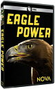【輸入盤DVD】【新品】Nova: Eagle Power